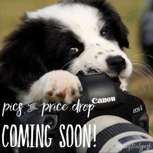 American Eagle Outfitters cardigan - Picture 3 of 5